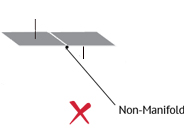 non-manifold error