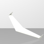 Flying wing model