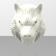 Wolf Head