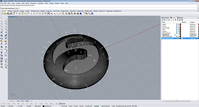 Rhino mesh orientation analysis