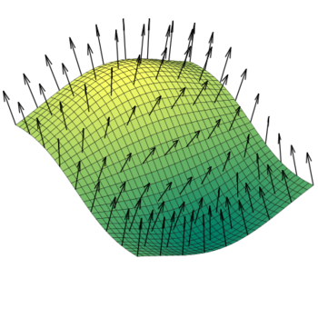 A vector field of normals on a surface